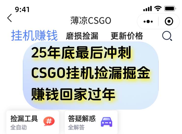(16735期)12月年底抓紧最后一个月,用CSGO游戏挂机捡漏掘金赚钱掘金,一部手机轻松日入500+-兴雨资源