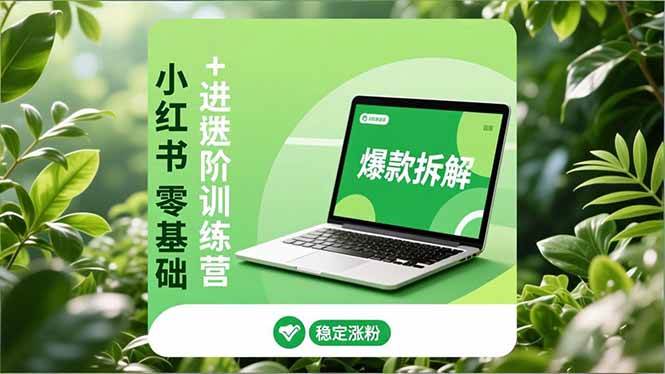 (16801期)小红书零基础+高阶训练营:安全养号、爆款拆解、长效运营,实现稳定涨粉与变现-兴雨资源