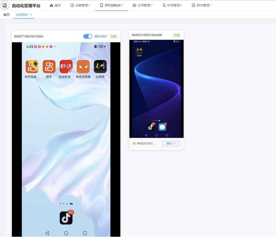云手机群控系统源码 云手机多开群控 自动化管理程序源码-兴雨资源