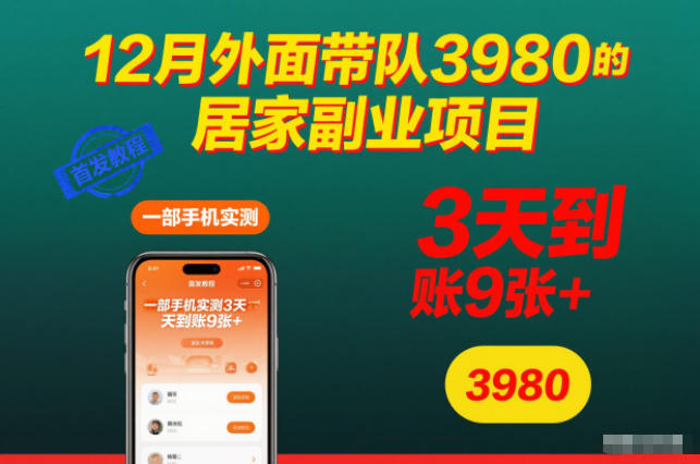 12月外面带队3980的居家副业项目,一部手机实测3天到账9张+,首发教程【揭秘】-兴雨资源